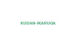 Kudan-Ikaruga(Ramen/Kudan-shita)