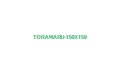 Toramaru(Ramen/Minami-Urawa)