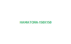 Hamatora (Ramen/Yokohama)