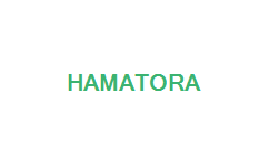 Hamatora (Ramen/Yokohama)